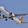 A320-200 / B-50011 / Tigerair / 函館空港