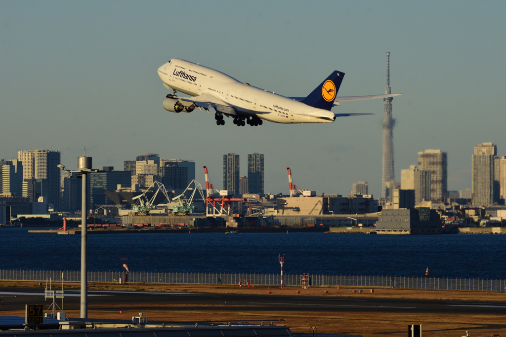 B787-8 / D-ABYK / DLH / 羽田空港