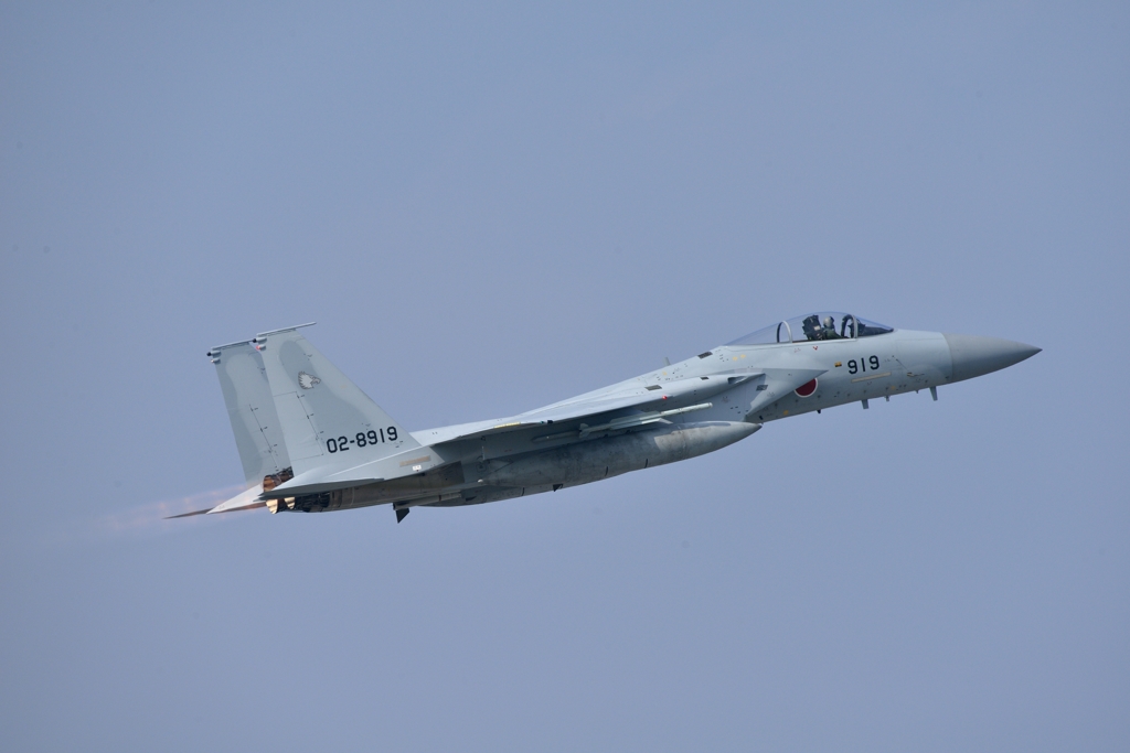 F-15J 204TFS JASDF 那覇基地