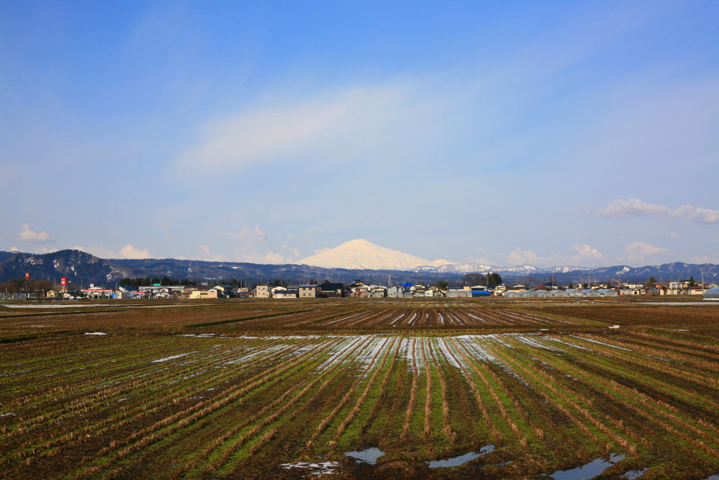 まだまだ白い鳥海山