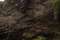 風景