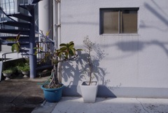 風景