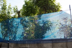 風景