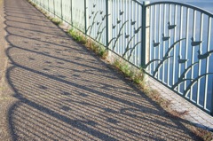 shadow