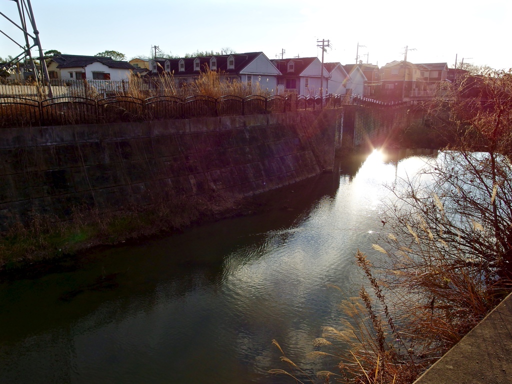 IMGP0028