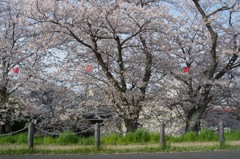 風景