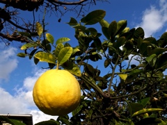 R0010854