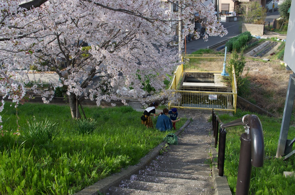 風景