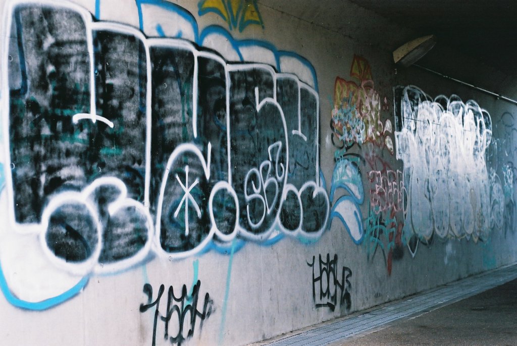 paint