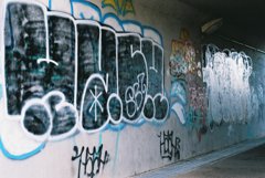 paint