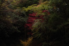 風景