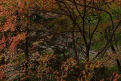 風景