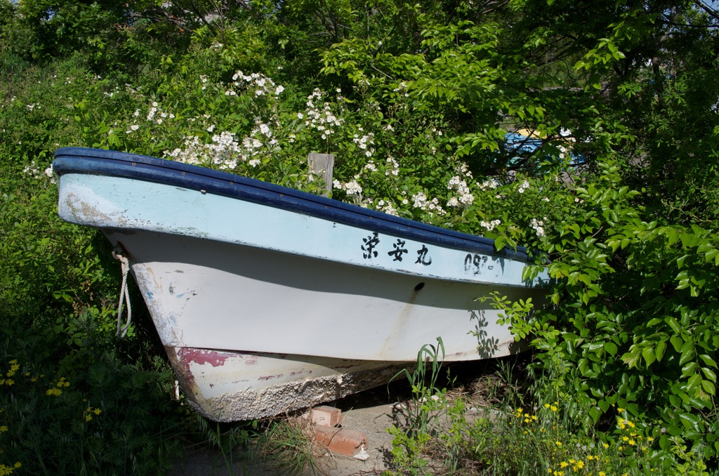 風景