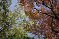 R0000032