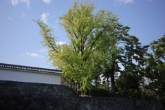 R0000015