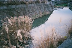 水
