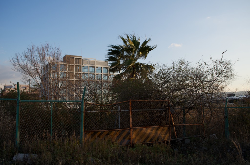 風景