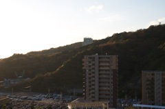 風景
