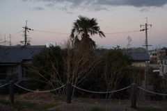 風景