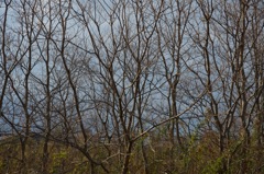 風景