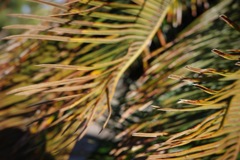R0000289