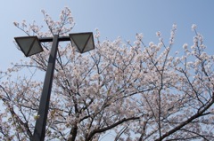 風景