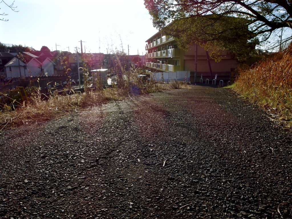 IMGP0015