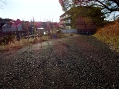 IMGP0015