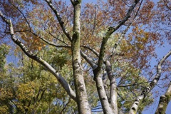 R0000030