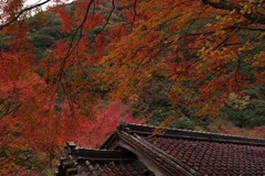 風景