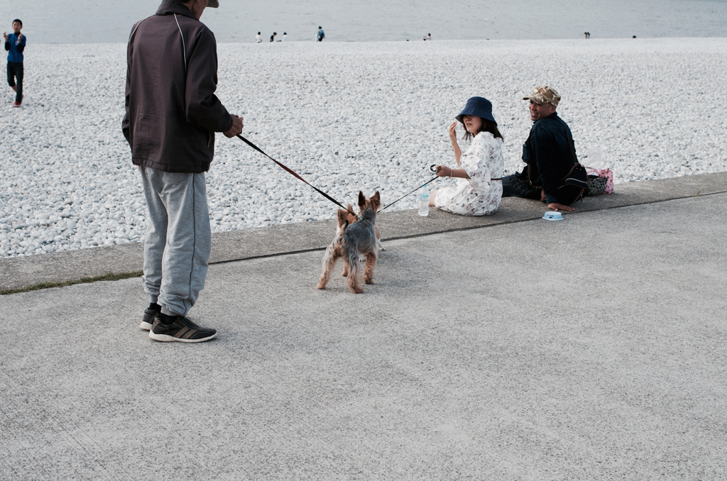inu