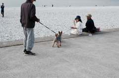 inu