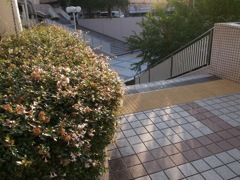 風景