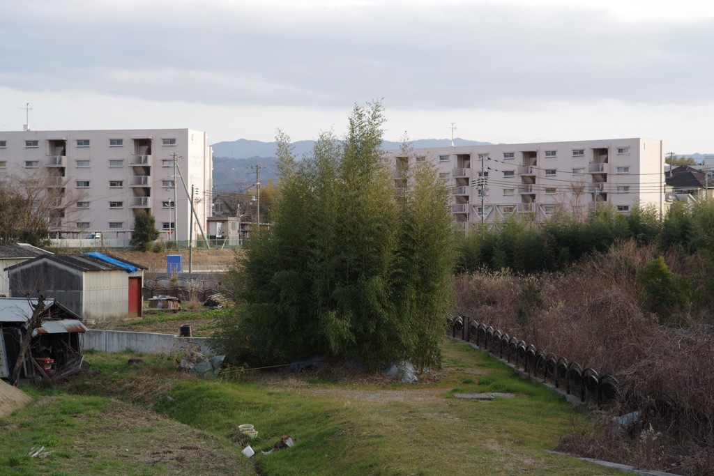 風景