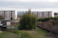 風景