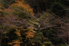 風景