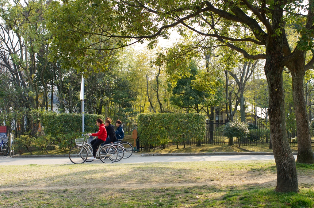 自転車