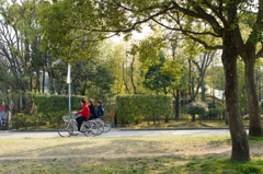 自転車
