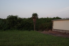 風景