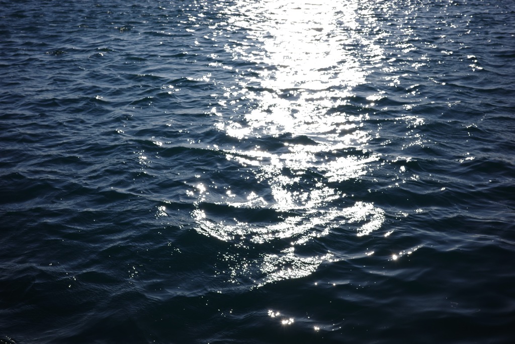 R0000308