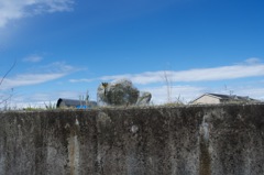風景