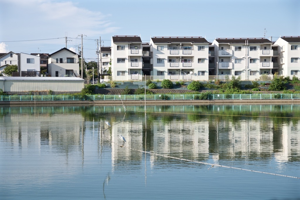 風景