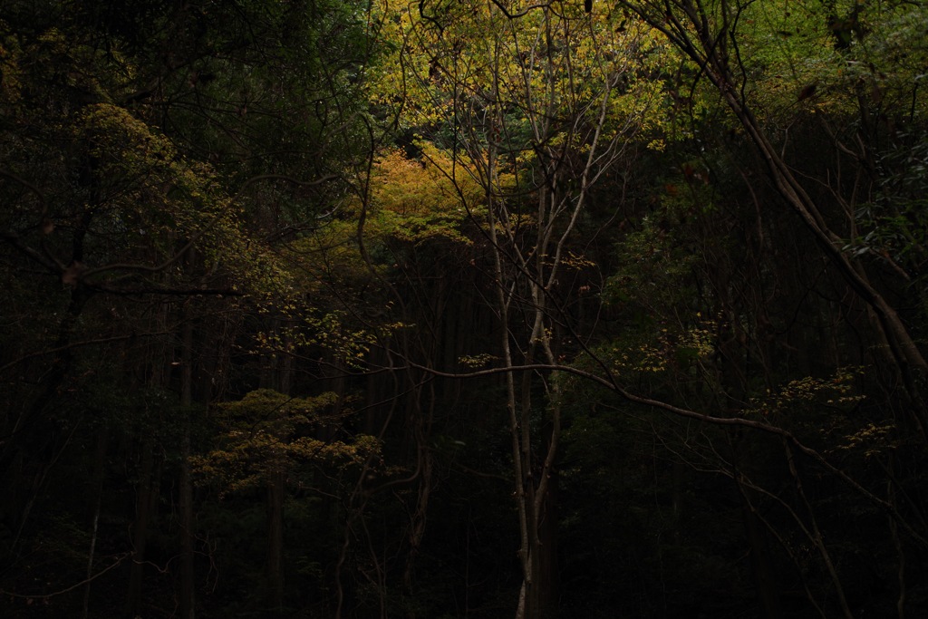 風景