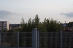 風景