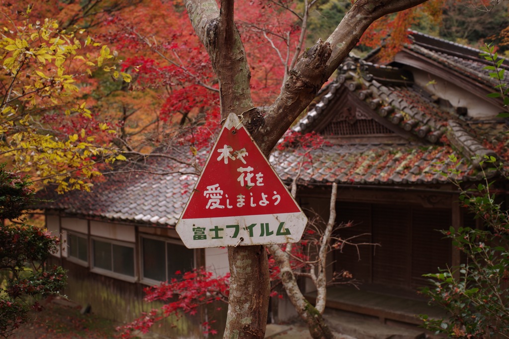風景