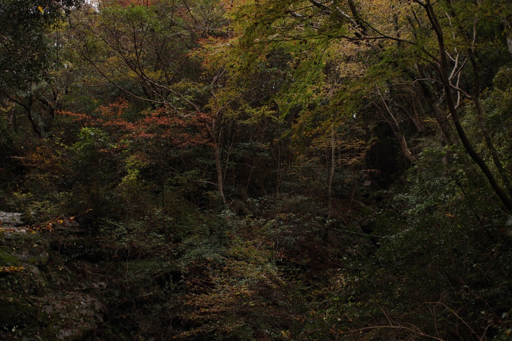 風景