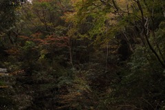 風景