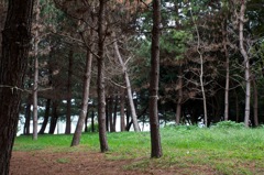 風景