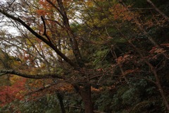 風景