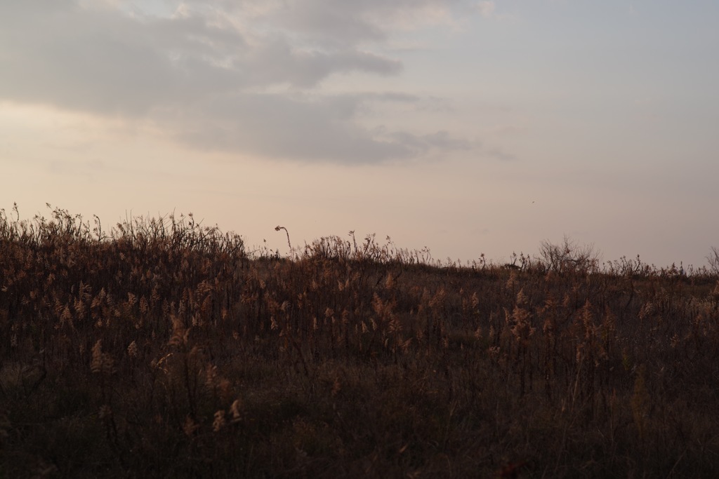 風景